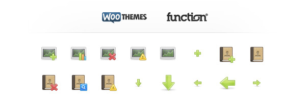 woo-themes